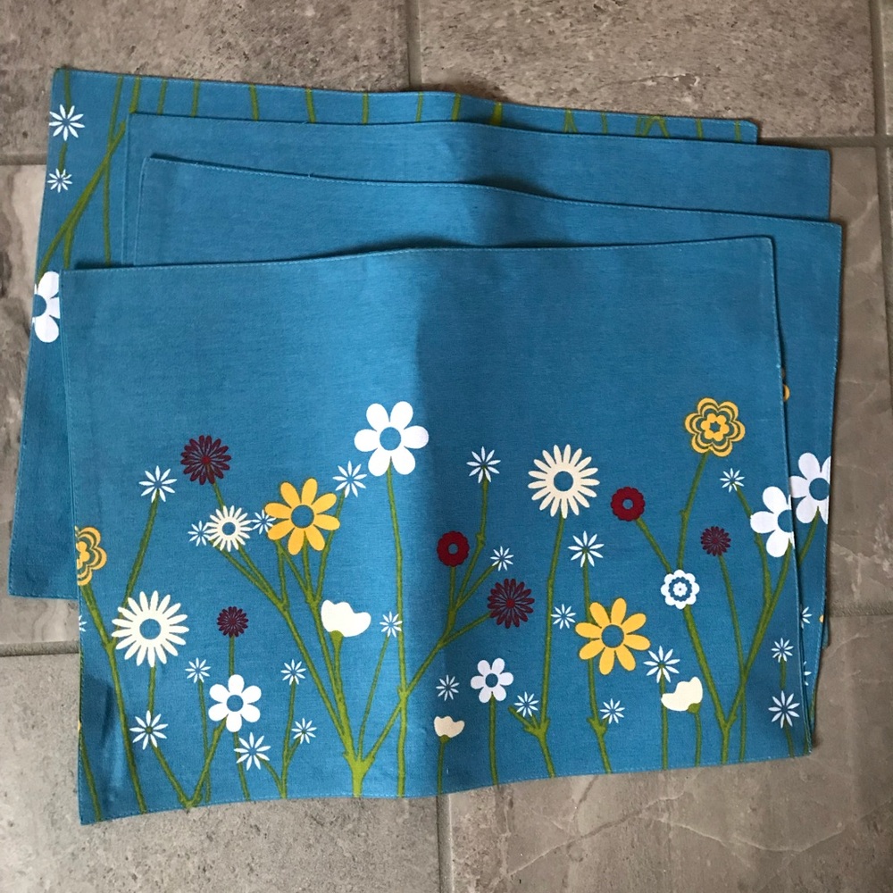 Placemats set NWOT
